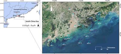 Environmental DNA sequencing reveals the regional difference in diversity and community assembly mechanisms of eukaryotic plankton in coastal waters